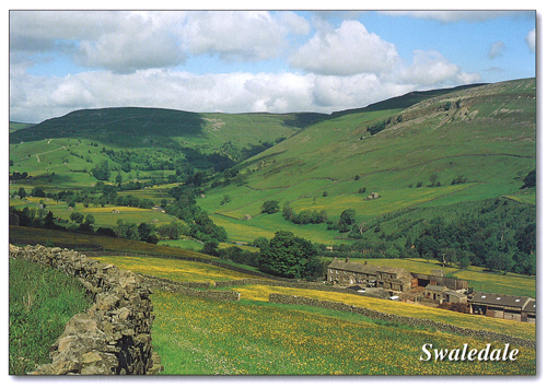Swaledale postcards